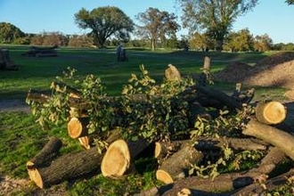 米首都ゴルフ場を来月改修　トランプ氏、着手表明