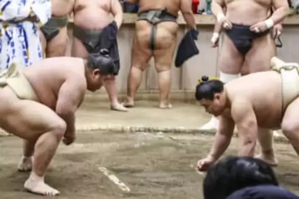 義ノ富士と伯乃富士、来年へ抱負　ともに目標は「三役昇進と優勝」