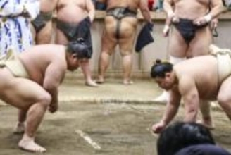 義ノ富士と伯乃富士、来年へ抱負　ともに目標は「三役昇進と優勝」