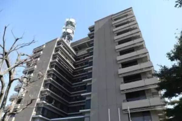 傷害の疑い、中学生逮捕　拡散動画の加害者か、熊本