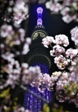 復興願い、東京の夜空に光の花　スカイツリー