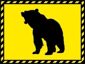 クマに襲われ男性負傷　岐阜・高山、命に別条なし