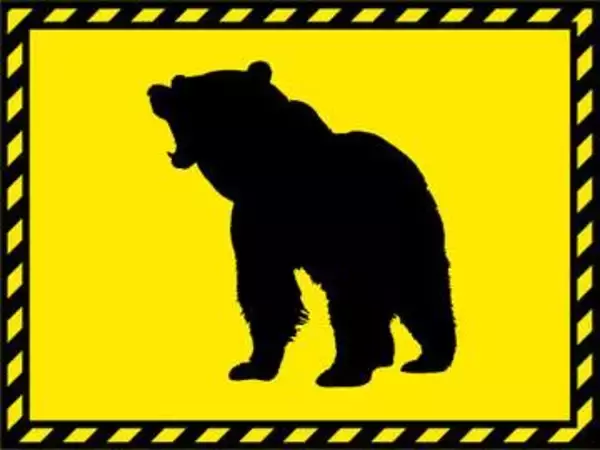クマに襲われ男性負傷　岐阜・高山、命に別条なし