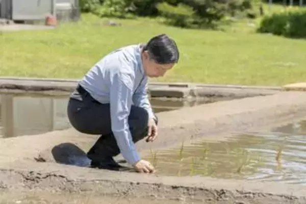 天皇陛下、皇居で田植え　農業奨励の恒例行事