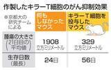 「iPSで固形がん抑制細胞作製　京大研究チーム、マウスで確認」の画像1