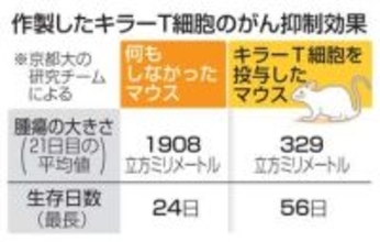 iPSで固形がん抑制細胞作製　京大研究チーム、マウスで確認