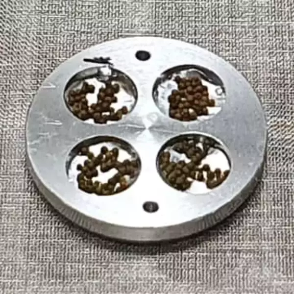 コケ胞子、宇宙でも生存　地上回収後に8割強発芽