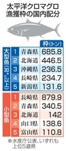 クロマグロ漁獲枠、配分据え置き　26年度、大型魚は青森が最多