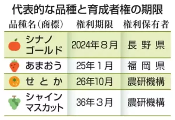 新品種の保護、出願時点から　農産物の無断輸出差し止め