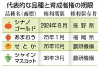 新品種の保護、出願時点から　農産物の無断輸出差し止め