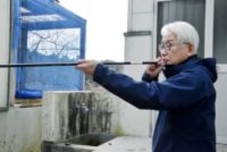 「麻酔吹き矢」で市街地クマ捕獲　岩手県、使い手養成へ