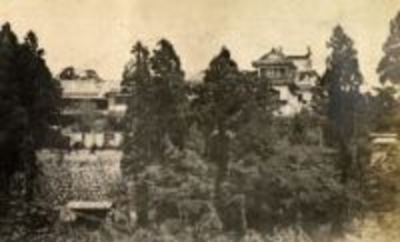 盛岡に息づく虎の伝承、漫画や菓子新商品も　江戸時代初期、藩主が駿府で2頭拝領