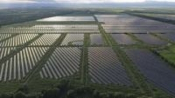 政府、メガソーラー安全性確保へ　厳格に監視、生物への影響抑制