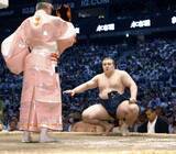 「安青錦10勝で首位、大関復帰へ　霧島ら5人が1差追走」の画像1