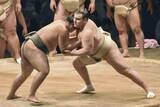 「安青錦「自分に期待して」　大関復帰、秋場所へ意欲」の画像1