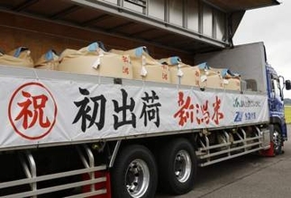 新潟のJA新米概算金、4割安　前年比、在庫増背景に