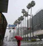 「台風6号の被害、重軽傷33人に　鹿児島、沖縄など12県」の画像1