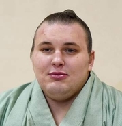 安青錦は左足小指骨折か　春場所中に負傷、巡業離脱