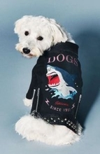 気仙沼名産、サメジャンはワン！ダフル　フカヒレ業者製造、魚体余さず活用