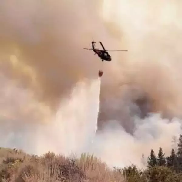 米ネバダ州で山火事、非常事態　人為的原因か、4万人避難