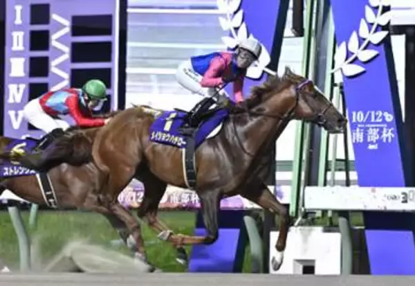 メイショウハチローが優勝　地方競馬のマイル南部杯
