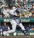 「神4―1西（11日）　阪神の新人岡城が2点三塁打」の画像1