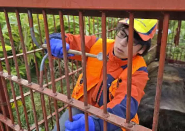 ヒグマ生息の山中「護衛」付けます　20代男性ハンター起業、作業員らに需要