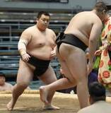 「前相撲、班分けせずに　新弟子少なく、必要性なくなる」の画像1