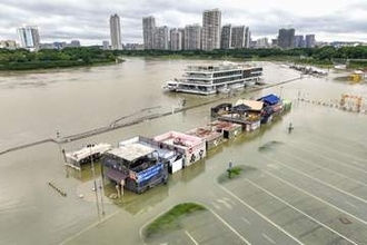 豪雨でヘビ900匹脱走、中国　かまれた女性死亡、飼育施設壊れ