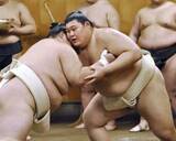「大の里、非公開で最終調整　左肩痛も初場所出場」の画像1