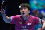 「卓球男子、10年ぶり決勝進出　世界選手権団体戦、中国と対戦へ」の画像1