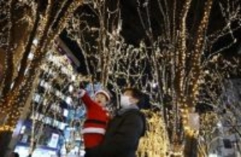 並木道彩る48万個の光、仙台　冬の風物詩が開幕