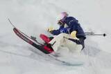 「古賀結那、転倒で3回目を棄権　フリースタイルスキー」の画像1