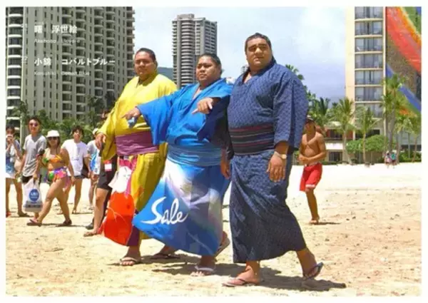 「相撲界ならではの衣装デザイン＆アートブック『相撲とデザイン SUMO and DESIGN』2026年1月5日（月）発売！」の画像