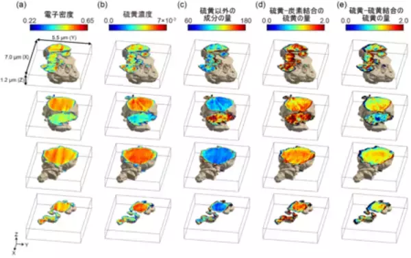 「東北大学と共同で硫黄の結合状態を3次元で可視化することに成功」の画像