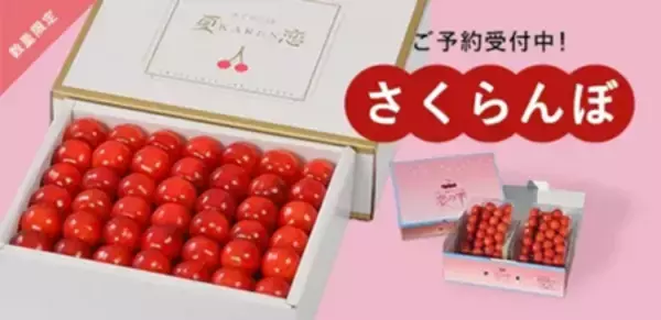 「岩手県産さくらんぼ佐藤錦と紅秀峰の「夏恋(かれん)」と「恋の雫」を「いわて純情セレクト」で期間限定販売」の画像