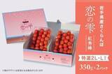 「岩手県産さくらんぼ佐藤錦と紅秀峰の「夏恋(かれん)」と「恋の雫」を「いわて純情セレクト」で期間限定販売」の画像5