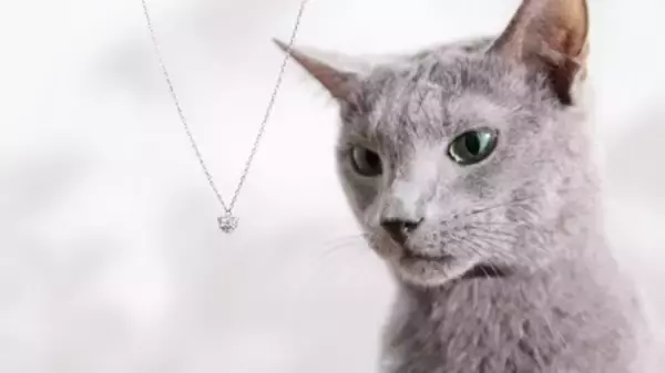 「磁気ネックレス「リエリィ ラボグロウンダイヤモンド ネックレス mew」  2月19日（木）より数量限定販売」の画像