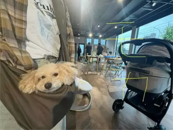 「ペットと旅する新しいカーライフを提案CAMBY。5月9日/10日東京ビックサイトで開催のFIELDSTYLE TOKYOに出展」の画像
