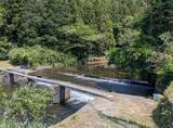 「NOKグループ北茨城地区3社、大北川のアユ稚魚放流体験活動に参画」の画像3