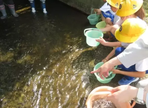 「NOKグループ北茨城地区3社、大北川のアユ稚魚放流体験活動に参画」の画像