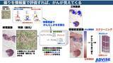 「TeSHプログラムを通じ、大学発スタートアップ創出を加速 。金沢工業大学、先端研究3テーマが採択」の画像1