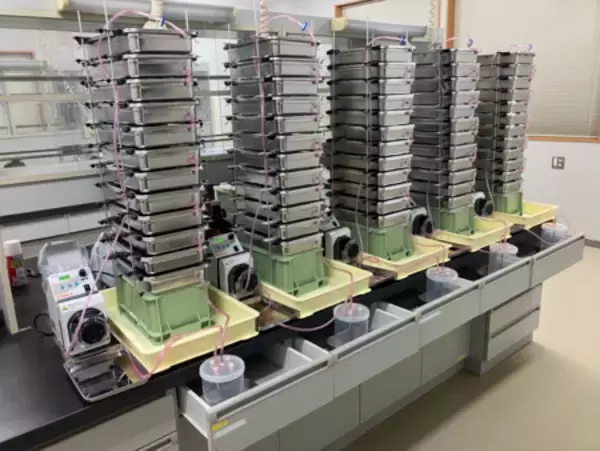 「TeSHプログラムを通じ、大学発スタートアップ創出を加速 。金沢工業大学、先端研究3テーマが採択」の画像