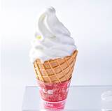 「【JAF九州】初の栄冠！道の駅くるめNo.1に輝く「JAF会員が選ぶ！イチオシ道の駅グランプリ2025」 結果発表」の画像4