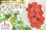 「ぶどう王国山梨から旬のお知らせ！シャインマスカット/サンシャインレッド/巨峰をＪＡタウンで予約販売開始」の画像6