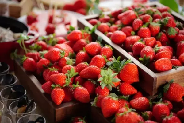 「伊良湖オーシャンリゾート 旬の田原産いちごを贅沢に味わう「いちごフェア」開催」の画像