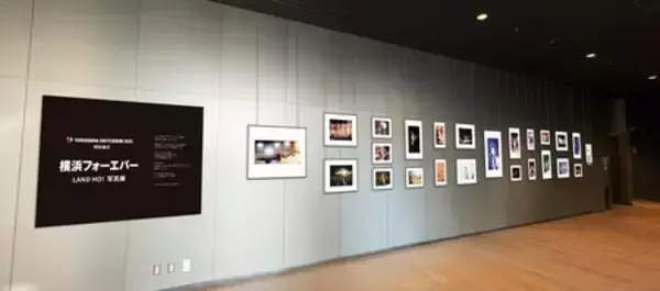 「全国を熱狂させた佐野元春・ﾃﾞﾋﾞｭｰ45周年ｱﾆﾊﾞｰｻﾘｰ・ﾂｱｰ。 そのﾌｧｲﾅﾙが、12月7日、横浜BUNTAIでついに開催！」の画像