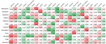 ヌクレオシドアナログ製剤に対する細胞抵抗性に関わる DNA修復因子群の包括的理解