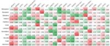 ヌクレオシドアナログ製剤に対する細胞抵抗性に関わる DNA修復因子群の包括的理解