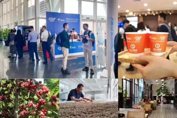 世界のコーヒー豆、中国・海南で独自の味わいに